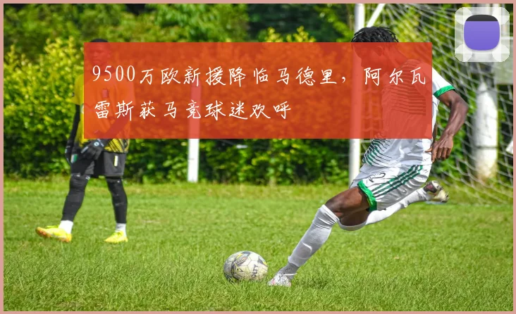 9500万欧新援降临马德里，阿尔瓦雷斯获马竞球迷欢呼